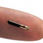 RFID-Chip-Closeup